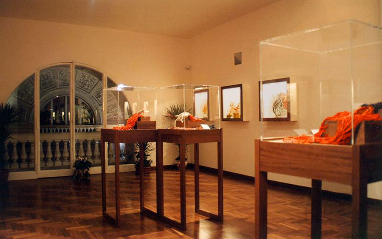 Museo del Corallo Ascione